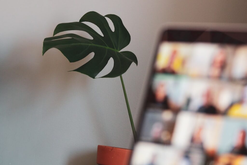 Photo Language tree